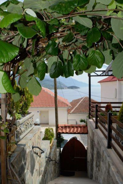 Villa Scandik โอครีด ภายนอก รูปภาพ