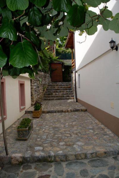 Villa Scandik โอครีด ภายนอก รูปภาพ